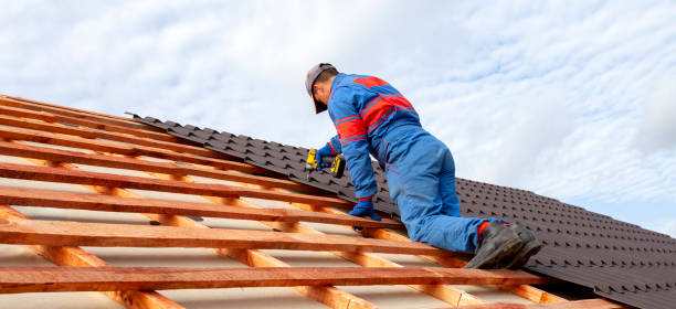 Best Roof Maintenance and Cleaning  in Brandermill, VA